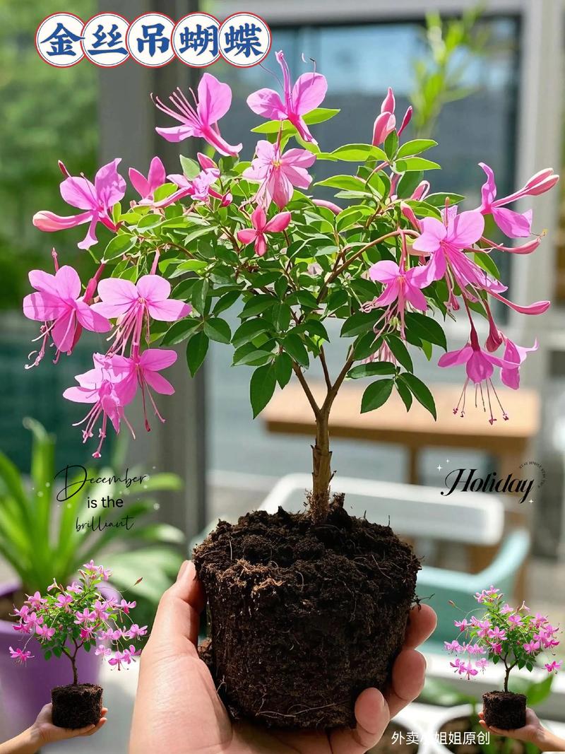 亳州庭院鲜花盆景施工队多少钱？2026正规施工队避坑与选择指