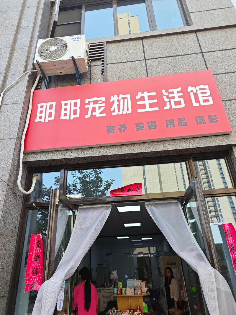 2026常德宠物售卖门店深度盘点：正规推荐与避坑指南（含服务