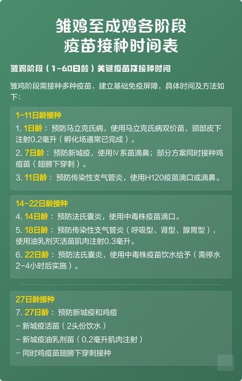 2026年鸡西宠物疫苗接种口碑榜单：正规机构推荐及费用价格解