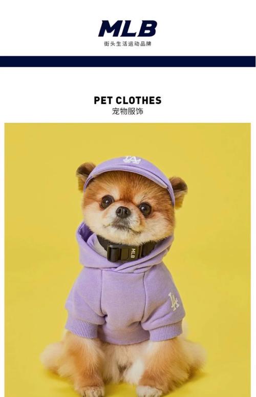 2026荆门本地宠物衣服哪家强?口碑TOP3强品牌推荐与价格