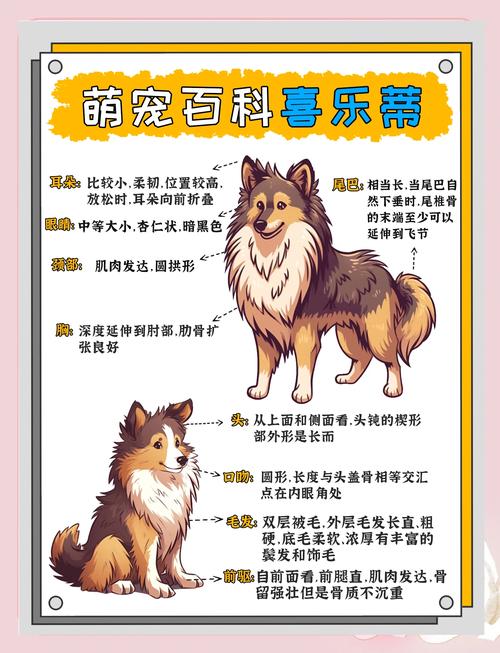 2026中卫喜乐蒂厂家排名推荐:正规靠谱前十强名单与选购避坑