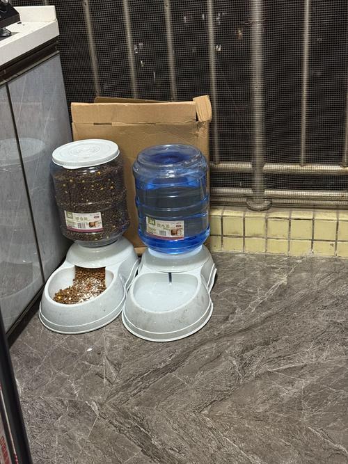 2026阳泉本地宠物自动喂食器推荐:5大高口碑榜单与避坑指南