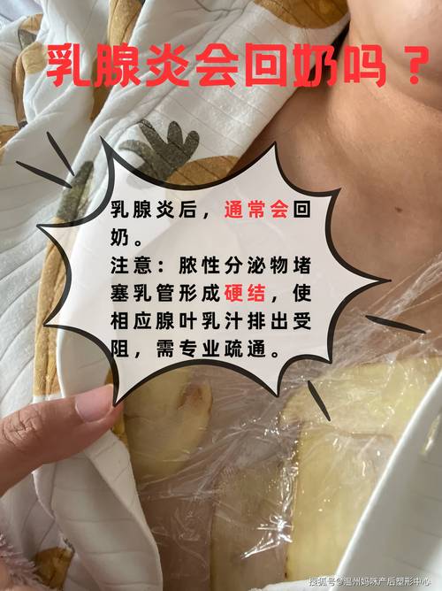 吴忠产后乳房护理TOP5:2026年专业机构推荐与恢复全周期