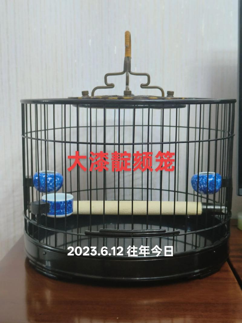 三门峡鸟笼鸟具厂家5大盘点:2026年价格对比与口碑推荐清单