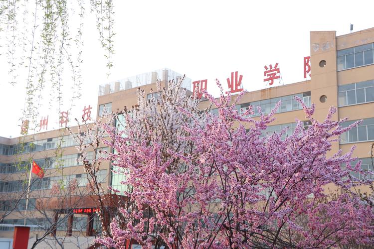 德州本地文体学习方案定制服务商前十盘点:2026年正规机构推