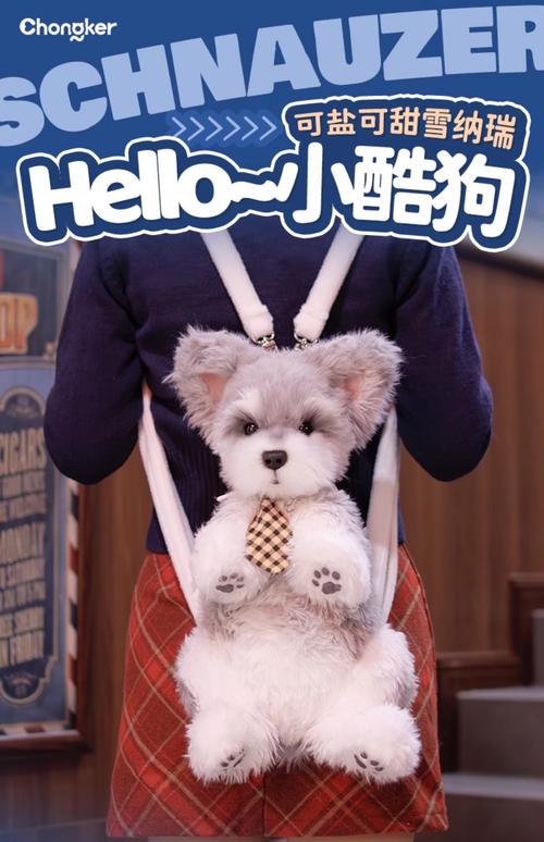 大连宠物背包TOP3推荐与口碑盘点