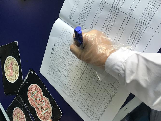 2026巴彦淖尔体检代办榜单:正规驾校推荐、费用标准与避坑指