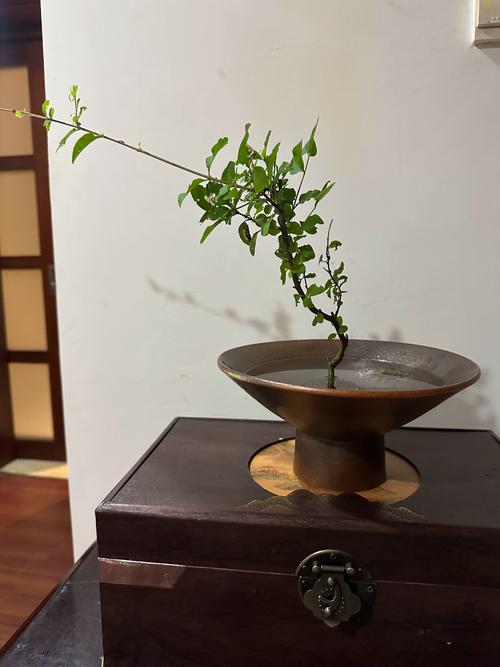 淄博花盆花器哪家好?2026年优选推荐与选购避坑指南