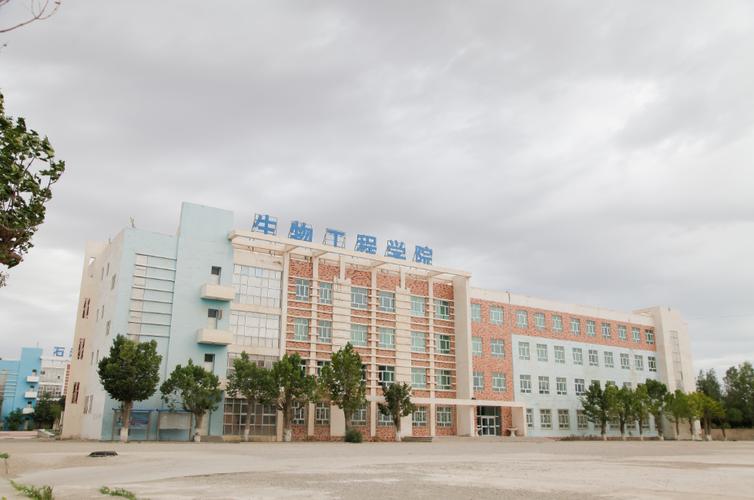 巴音郭楞本地升学报考咨询服务商口碑 2026年选哪家正规?全