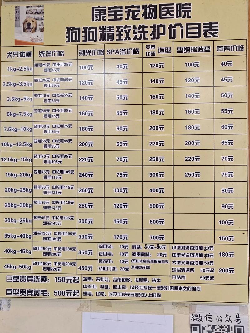 2026年忻州本地宠物洗护套餐榜单TOP5:专业洗护、寄养与