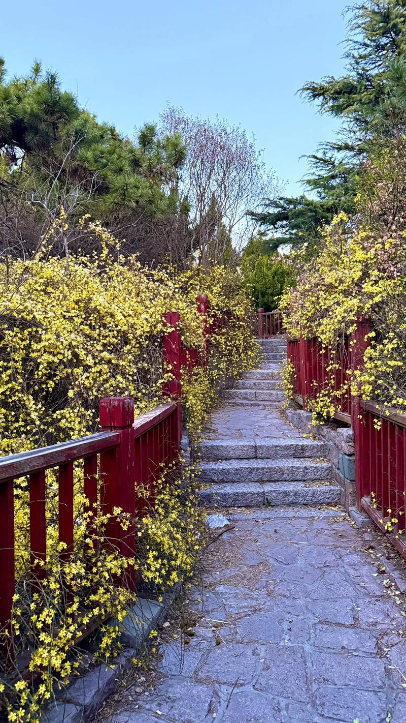 青岛观赏花卉种植厂家推荐清单：2026年行业口碑TOP3及专