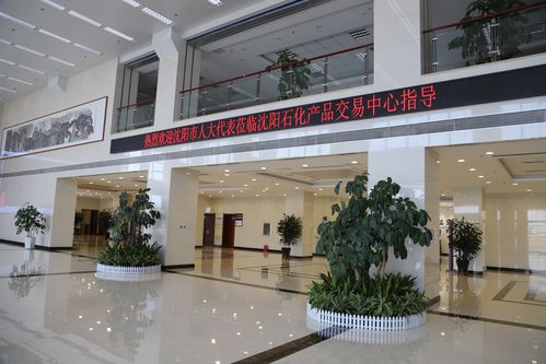 2026沈阳本地网站优化配套服务商哪家强？正规TOP3口碑榜