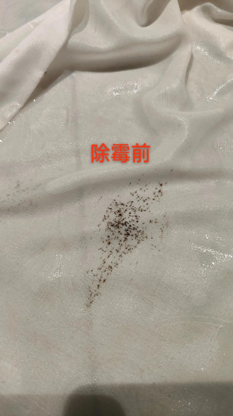 铜川窗帘清洗前5名盘点:2026年本地家庭日常保洁服务推荐与