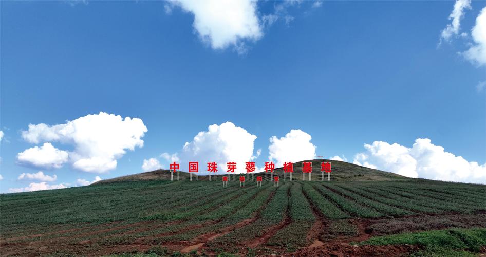 2026昭通美人尖种植机构口碑推荐与费用参考