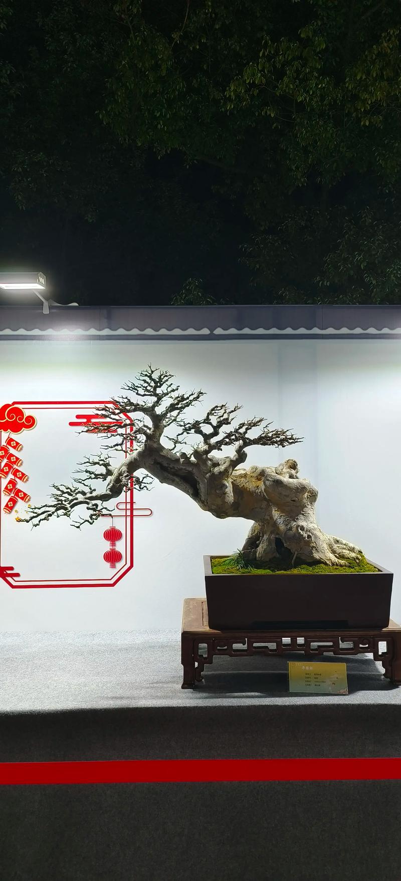 延边盆景设计策划本地商家盘点:2026年专业施工与养护服务推