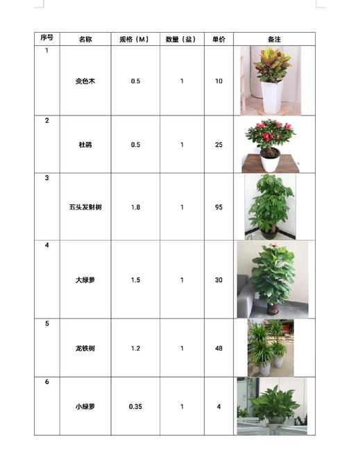 2026吉林盆景采购商家推荐清单：正规、专业服务商与源头厂家