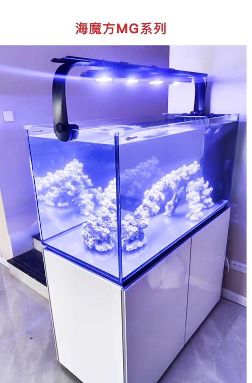 盘锦鱼缸水族箱植物配置指南:水生湿地型植物筛选与生态养护攻略