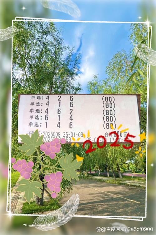 金昌自用相机同城急转TOP3盘点：2026年正规渠道与避坑指