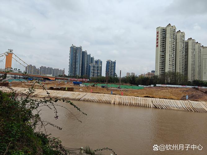 2026钦州文体培训业务定制对接避坑：正规机构筛选与推荐清单
