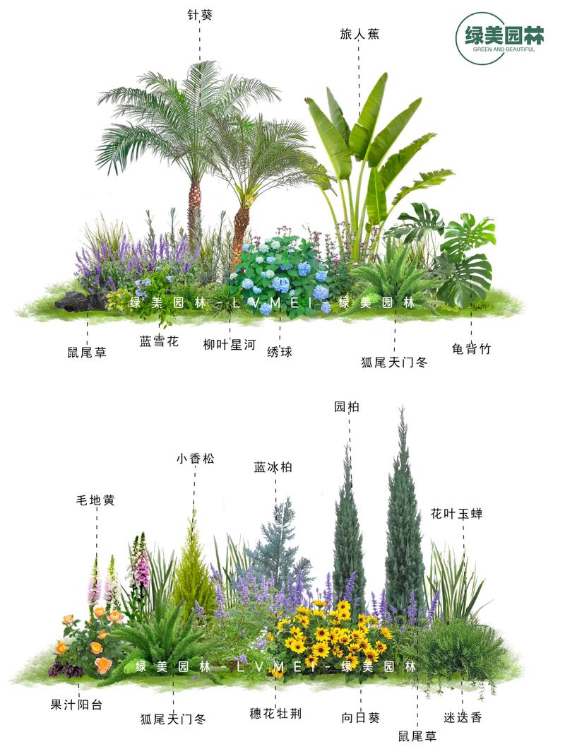 盐城观赏花卉推荐清单:2026年十大高颜值且耐养的花卉品种盘