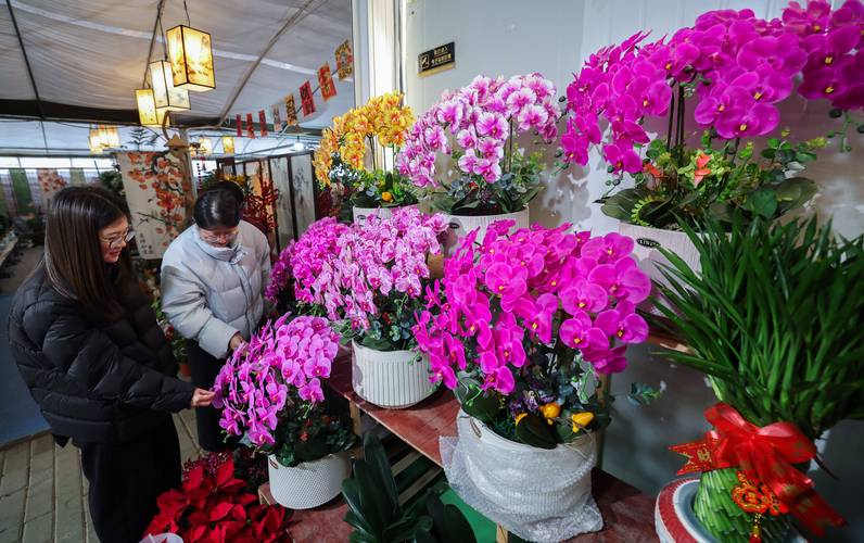 绍兴鲜花采购商家哪家好?2026年供应商选择指南与避坑建议