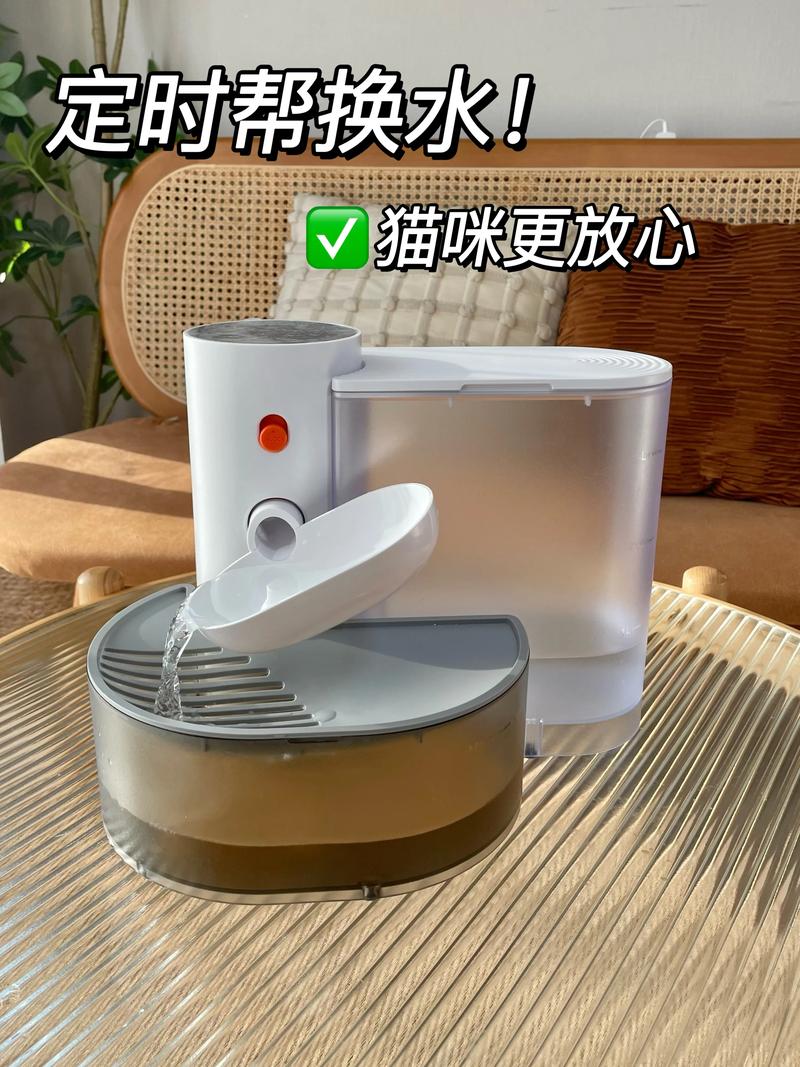 防城港宠物自动饮水机推荐榜单2026：TOP5口碑好物与避坑