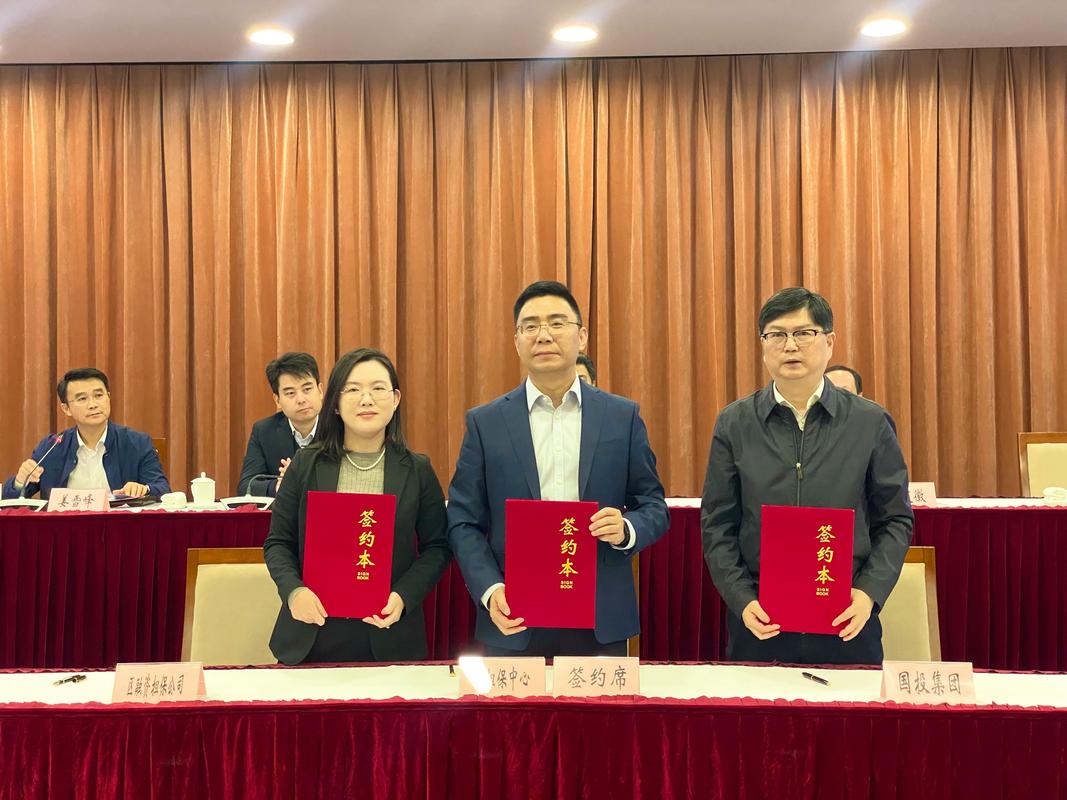 2026年上海项目融资担保公司前5名盘点:正规避坑指南与费用