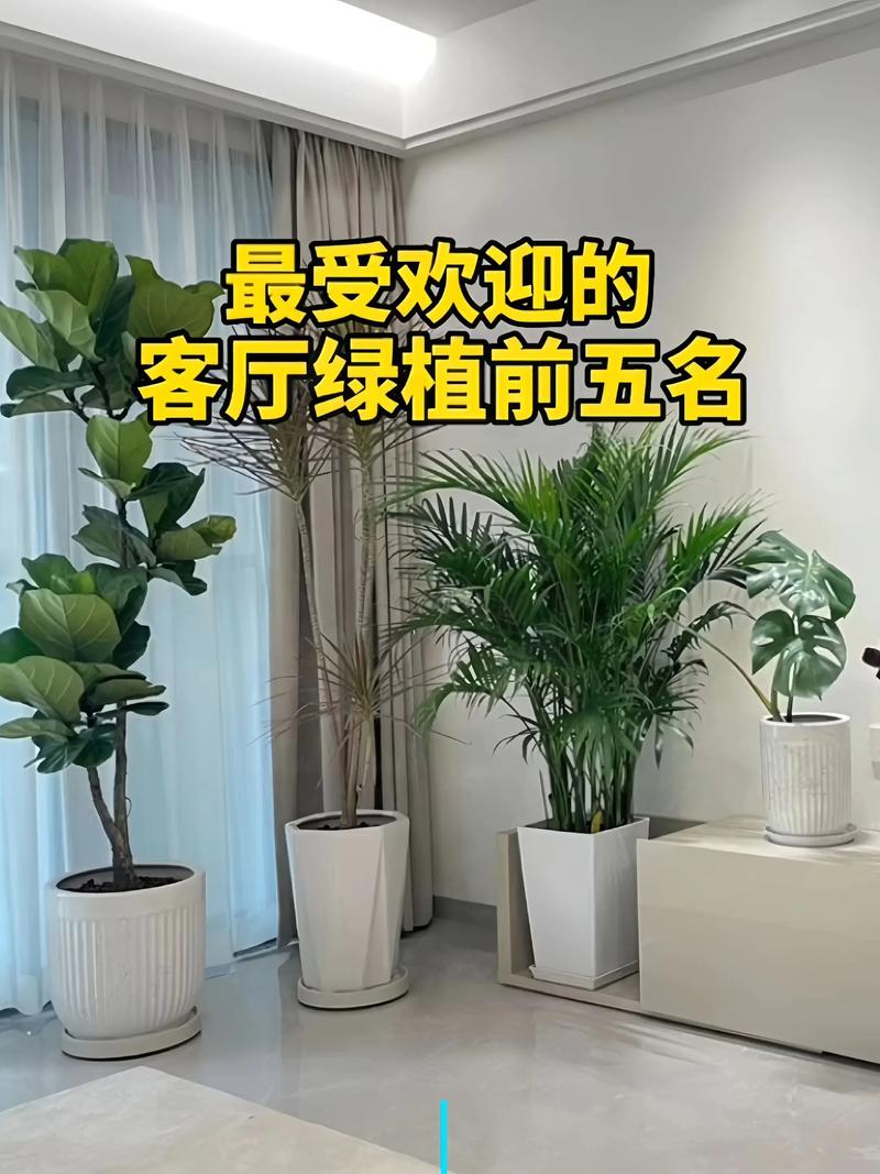 2026佛山观赏绿植选购全攻略：本地口碑前5名市场推荐与避坑