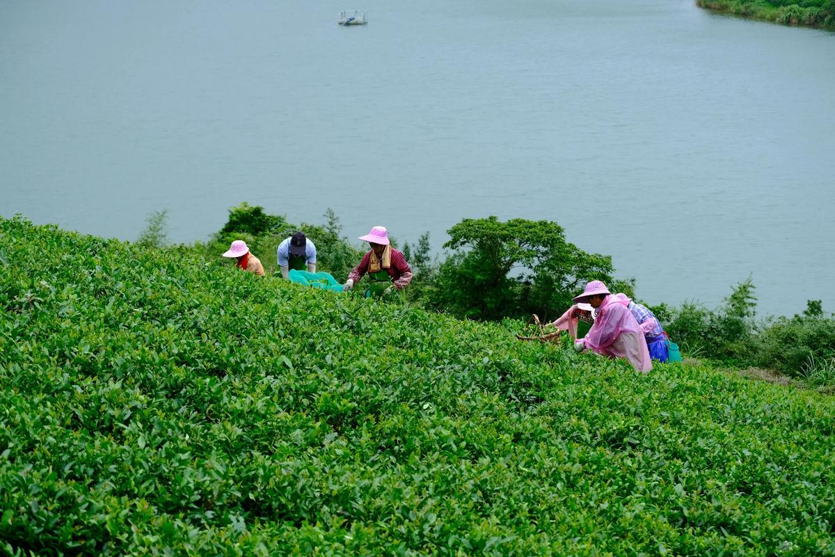 宁德本地短途旅行结伴前3强推荐:2025年口碑、价格与正规性