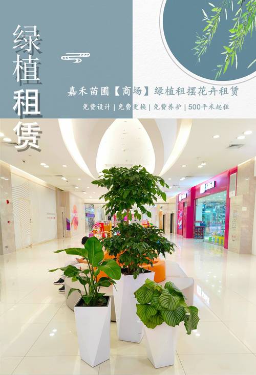2026年商洛鲜花绿植租赁养护费用参考与专业养护指南
