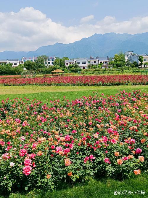 2026年九江本地同城旅游度假对接前5名盘点:口碑、价格与避