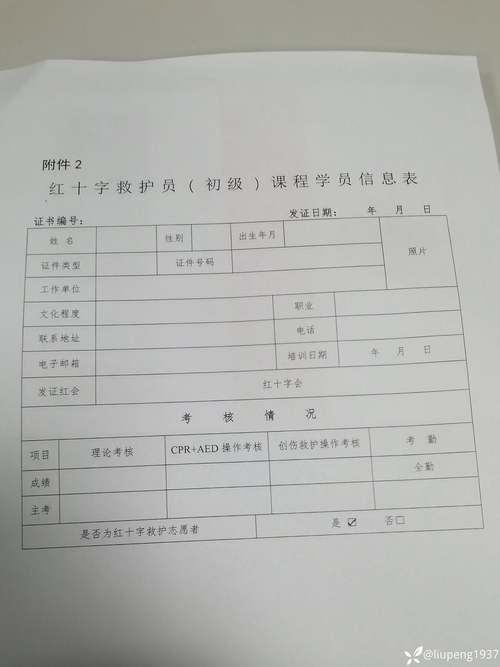 2026新乡才艺特长考级辅导机构推荐:前三强榜单与如何避坑