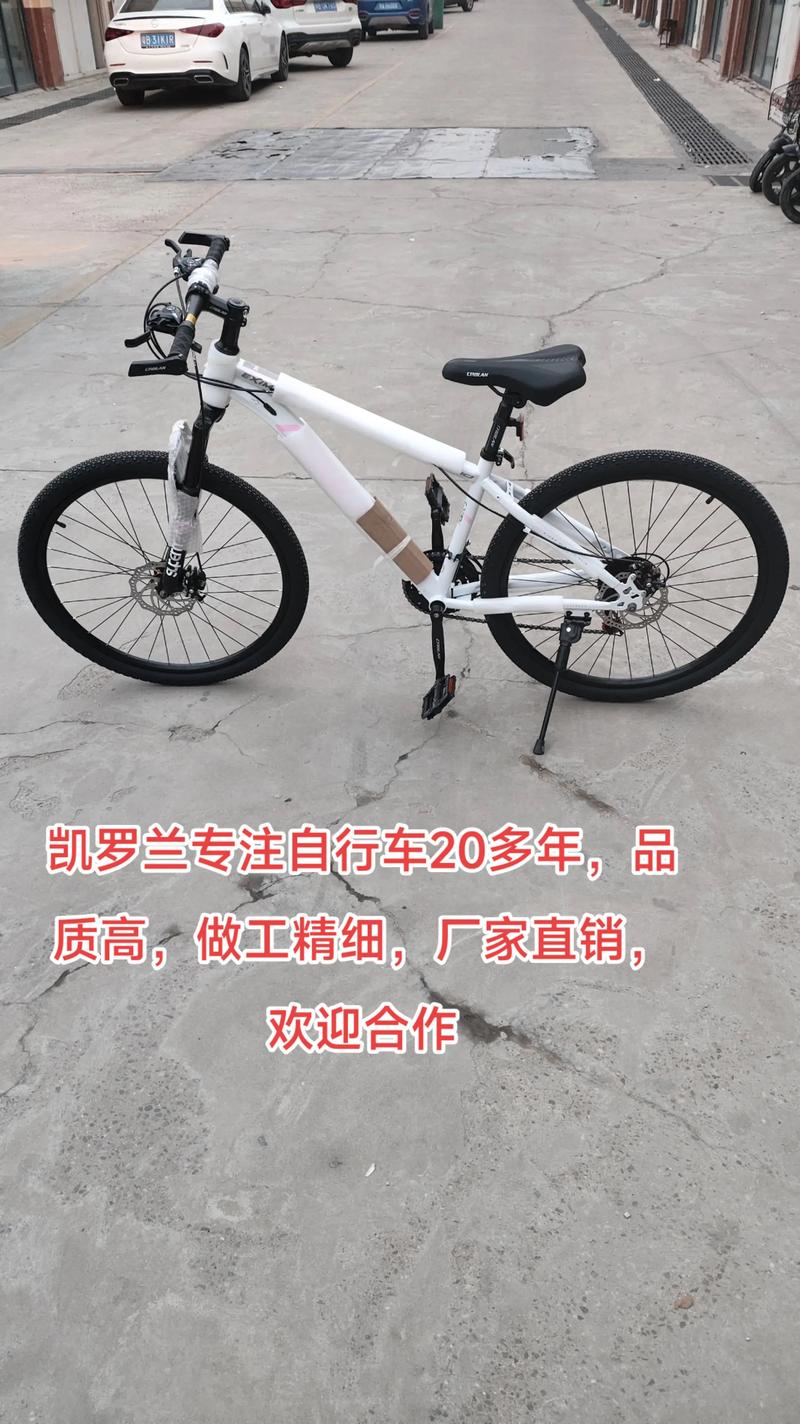 2026年商洛同城山地自行车出售：如何选择靠谱渠道与查看车辆
