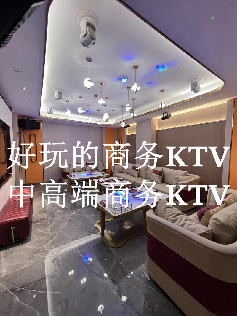 临沧高端休闲娱乐定制服务十强：2026年正规机构盘点与避坑指
