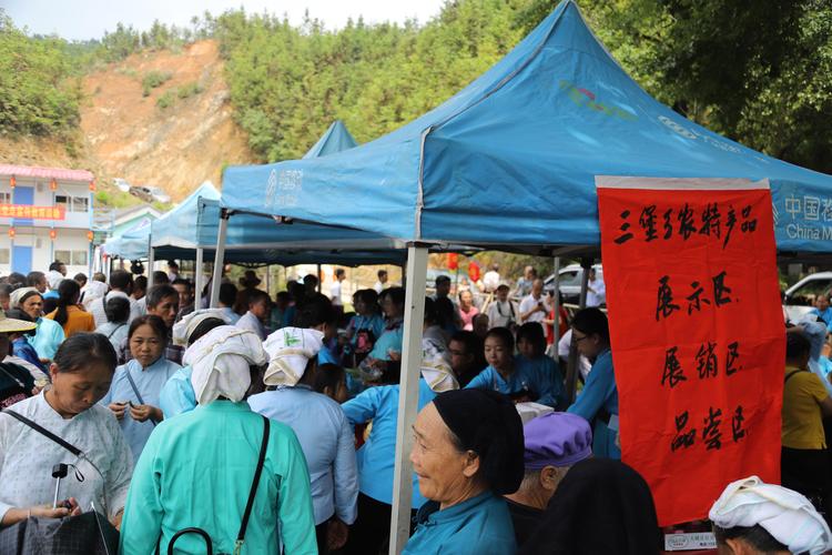 2026河池本地打包服务前3强推荐：正规口碑与费用避坑指南