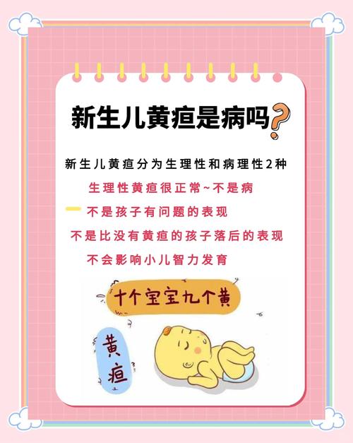 葫芦岛新生儿黄疸观察避坑:2026年如何选择正规服务机构?