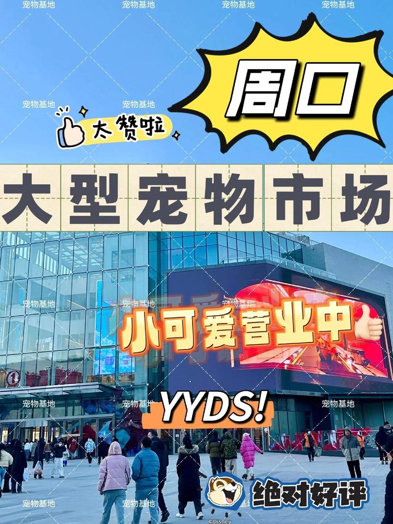 2026年阳泉宠物售卖与服务商口碑推荐:正规商家清单与避坑指