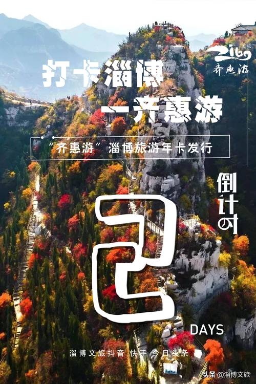 淄博团体旅游度假对接业务十强推荐：2026年正规服务商榜单与