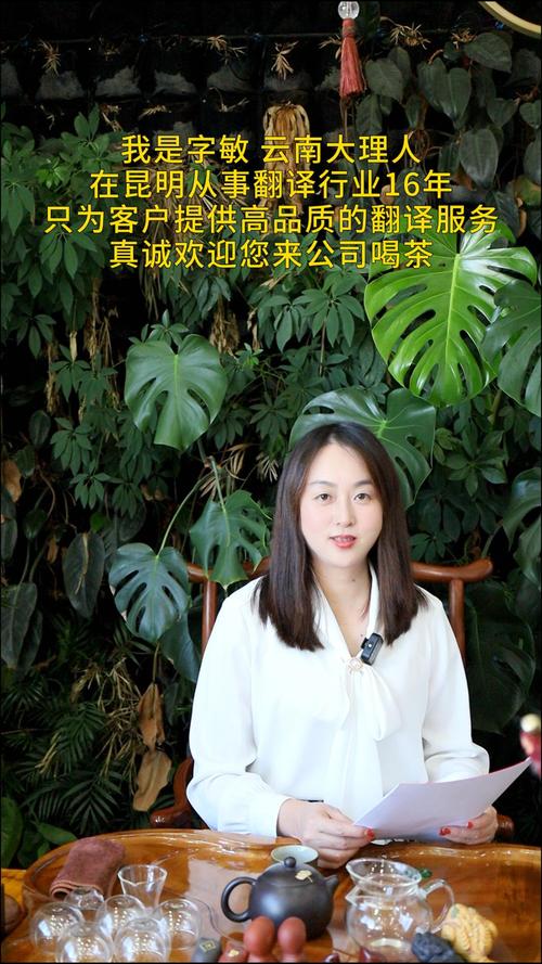 2026年六安小语种翻译费用参考与正规服务商家推荐清单