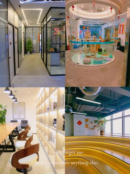 2026阜阳留学住宿配套签证代理机构口碑推荐：正规靠谱的前5