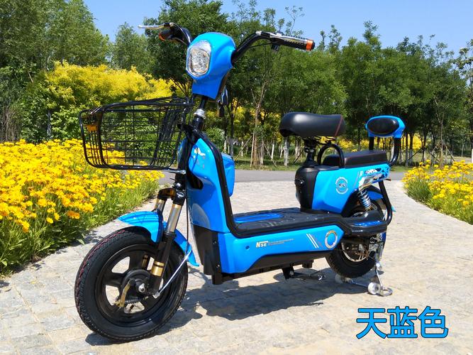 海北自用电动车同城急转:2026年度值得关注的5大品牌推荐与