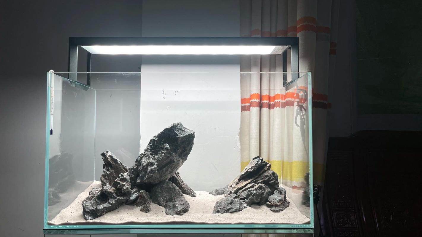 定西本地水族造景TOP5推荐：专业服务商盘点与选择指南
