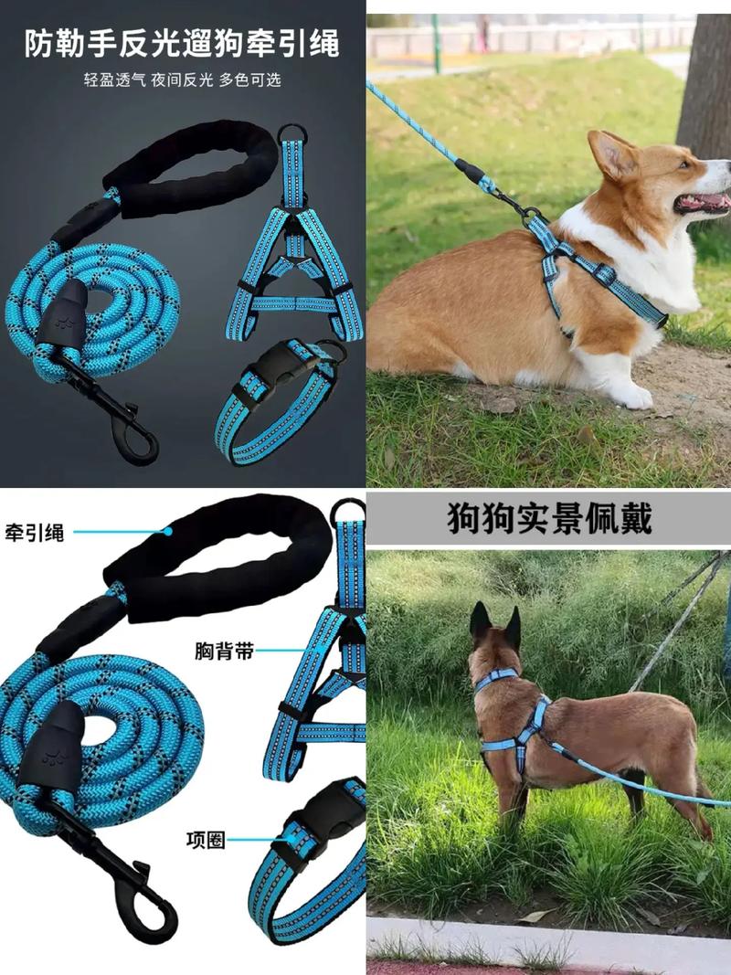 阜阳宠物项圈牵引销售费用全解析2026：正规商家推荐及价格区