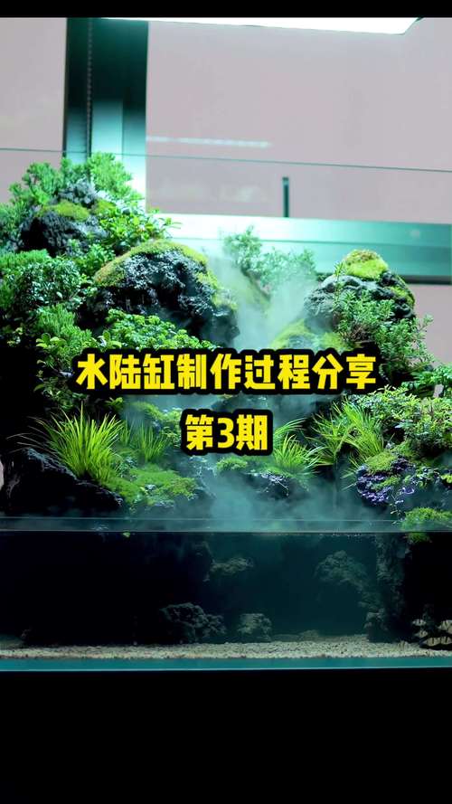 固原水族造景行业深度盘点：2026年口碑服务商排名、预算解析