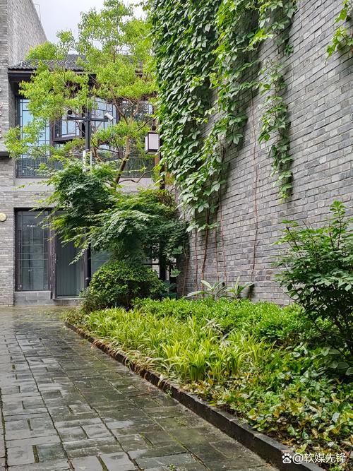 2026滁州庭院盆栽风水与养护指南：室内绿植零售商家前三强推