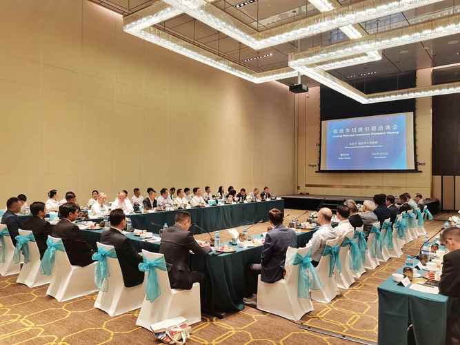 2026临沧联营合作招商代理团队TOP3盘点：正规靠谱的品牌