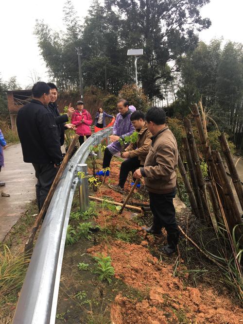 毕节景观盆景移栽施工队怎么选？2026工程绿化避坑指南与价格