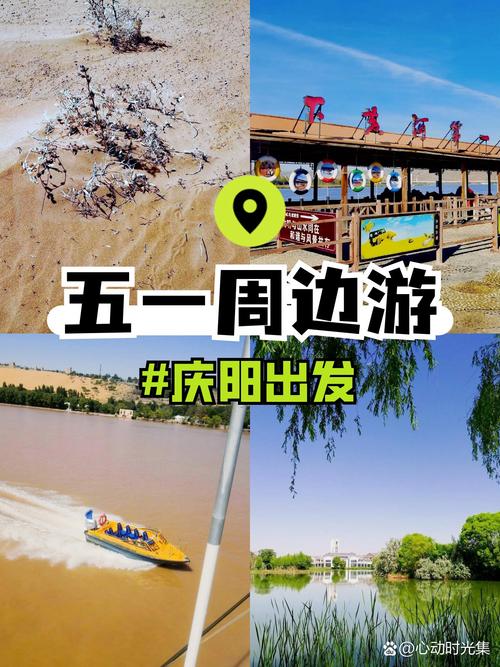 2026庆阳度假交通对接服务推荐:精选TOP3正规机构名单与