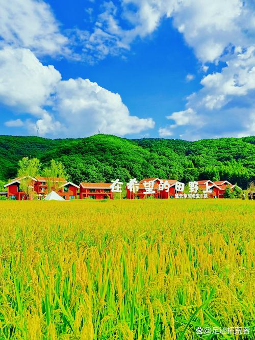 吉林本地网红旅游度假打卡价格全攻略：2026年最新榜单与费用