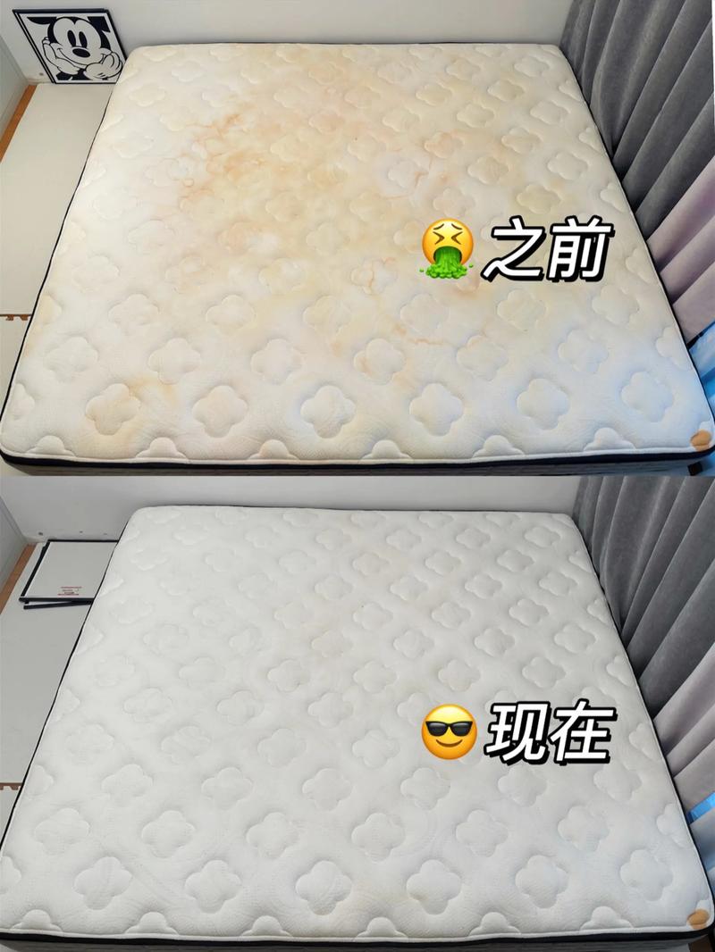 无锡床垫除螨清洗哪家专业?2026年无锡除螨清洗服务公司推荐